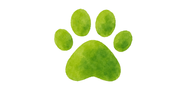 Logo_Mietzekater